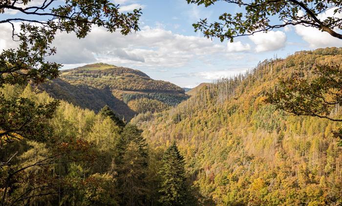 Rheidol Valley